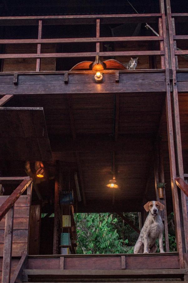 The Pelican House Hostel El Valle  Buitenkant foto